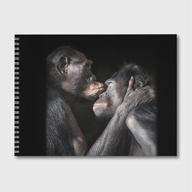Альбом для рисования с принтом Шимпанзе в Кировске, 100% бумага
 | матовая бумага, плотность 200 мг. | Тематика изображения на принте: chimps | family | feelings | kiss | monkeys | primates | любовь | обезьяны | поцелуй | приматы | семья | чувства | шимпанзе