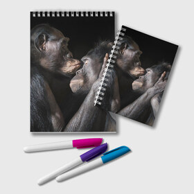 Блокнот с принтом Шимпанзе в Кировске, 100% бумага | 48 листов, плотность листов — 60 г/м2, плотность картонной обложки — 250 г/м2. Листы скреплены удобной пружинной спиралью. Цвет линий — светло-серый
 | Тематика изображения на принте: chimps | family | feelings | kiss | monkeys | primates | любовь | обезьяны | поцелуй | приматы | семья | чувства | шимпанзе