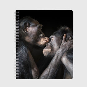 Тетрадь с принтом Шимпанзе в Кировске, 100% бумага | 48 листов, плотность листов — 60 г/м2, плотность картонной обложки — 250 г/м2. Листы скреплены сбоку удобной пружинной спиралью. Уголки страниц и обложки скругленные. Цвет линий — светло-серый
 | chimps | family | feelings | kiss | monkeys | primates | любовь | обезьяны | поцелуй | приматы | семья | чувства | шимпанзе
