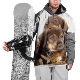 Накидка на куртку 3D с принтом Таксы в Кировске, 100% полиэстер |  | Тематика изображения на принте: brothers | dachshunds | kids | pets | puppies | small dogs | братья | животные | маленькие | малыши | собаки | таксы | щенки