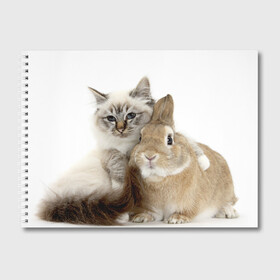 Альбом для рисования с принтом Кот и кролик в Кировске, 100% бумага
 | матовая бумага, плотность 200 мг. | cat | cute | fluffy | friends | friendship | hug | kitty | rabbit | toddlers | дружба | друзья | кот | котенок | кролик | любовь | малыши | милые | обнимаются | пушистые