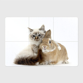 Магнитный плакат 3Х2 с принтом Кот и кролик в Кировске, Полимерный материал с магнитным слоем | 6 деталей размером 9*9 см | cat | cute | fluffy | friends | friendship | hug | kitty | rabbit | toddlers | дружба | друзья | кот | котенок | кролик | любовь | малыши | милые | обнимаются | пушистые