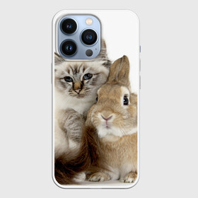 Чехол для iPhone 13 Pro с принтом Кот и кролик в Кировске,  |  | cat | cute | fluffy | friends | friendship | hug | kitty | rabbit | toddlers | дружба | друзья | кот | котенок | кролик | любовь | малыши | милые | обнимаются | пушистые