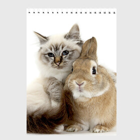 Скетчбук с принтом Кот и кролик в Кировске, 100% бумага
 | 48 листов, плотность листов — 100 г/м2, плотность картонной обложки — 250 г/м2. Листы скреплены сверху удобной пружинной спиралью | cat | cute | fluffy | friends | friendship | hug | kitty | rabbit | toddlers | дружба | друзья | кот | котенок | кролик | любовь | малыши | милые | обнимаются | пушистые