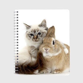 Тетрадь с принтом Кот и кролик в Кировске, 100% бумага | 48 листов, плотность листов — 60 г/м2, плотность картонной обложки — 250 г/м2. Листы скреплены сбоку удобной пружинной спиралью. Уголки страниц и обложки скругленные. Цвет линий — светло-серый
 | cat | cute | fluffy | friends | friendship | hug | kitty | rabbit | toddlers | дружба | друзья | кот | котенок | кролик | любовь | малыши | милые | обнимаются | пушистые