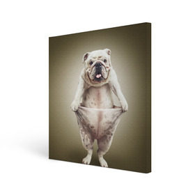 Холст квадратный с принтом Бульдог английский в Кировске, 100% ПВХ |  | Тематика изображения на принте: animals | breed | dog | english bulldog | funny | joke | pants | surrealism | бульдог английский | животное | порода | прикол | собака | сюрреализм | шутка