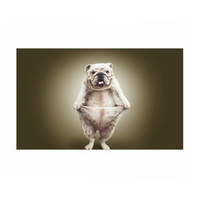 Бумага для упаковки 3D с принтом Бульдог английский в Кировске, пластик и полированная сталь | круглая форма, металлическое крепление в виде кольца | Тематика изображения на принте: animals | breed | dog | english bulldog | funny | joke | pants | surrealism | бульдог английский | животное | порода | прикол | собака | сюрреализм | шутка