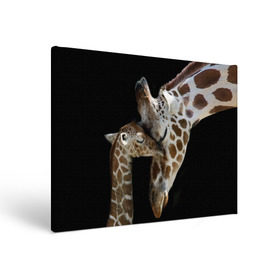 Холст прямоугольный с принтом Жирафы в Кировске, 100% ПВХ |  | africa | animals | baby | child | family | giraffes | head | mother | африка | головы | животные | жирафы | любовь | малыш | мама | ребенок | семья
