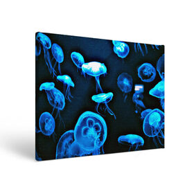 Холст прямоугольный с принтом Meduse в Кировске, 100% ПВХ |  | Тематика изображения на принте: вода | медузы | море | морские | океан