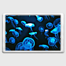 Магнит 45*70 с принтом Meduse в Кировске, Пластик | Размер: 78*52 мм; Размер печати: 70*45 | Тематика изображения на принте: вода | медузы | море | морские | океан