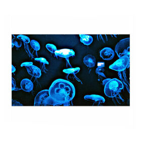 Бумага для упаковки 3D с принтом Meduse в Кировске, пластик и полированная сталь | круглая форма, металлическое крепление в виде кольца | Тематика изображения на принте: вода | медузы | море | морские | океан