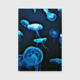 Обложка для автодокументов с принтом Meduse в Кировске, натуральная кожа |  размер 19,9*13 см; внутри 4 больших “конверта” для документов и один маленький отдел — туда идеально встанут права | Тематика изображения на принте: вода | медузы | море | морские | океан