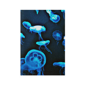 Обложка для паспорта матовая кожа с принтом Meduse в Кировске, натуральная матовая кожа | размер 19,3 х 13,7 см; прозрачные пластиковые крепления | Тематика изображения на принте: вода | медузы | море | морские | океан