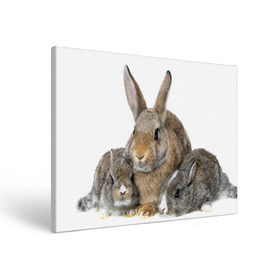Холст прямоугольный с принтом Кролики в Кировске, 100% ПВХ |  | animals | bunnies | cute | eared | family | fluffy | kids | mom | rabbits | животные | зайцы | кролики | малыши | мама | милые | пушистые | семья | ушастые
