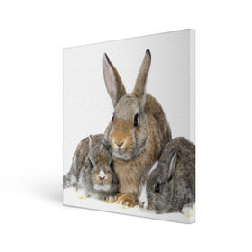 Холст квадратный с принтом Кролики в Кировске, 100% ПВХ |  | animals | bunnies | cute | eared | family | fluffy | kids | mom | rabbits | животные | зайцы | кролики | малыши | мама | милые | пушистые | семья | ушастые