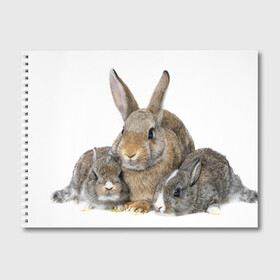 Альбом для рисования с принтом Кролики в Кировске, 100% бумага
 | матовая бумага, плотность 200 мг. | animals | bunnies | cute | eared | family | fluffy | kids | mom | rabbits | животные | зайцы | кролики | малыши | мама | милые | пушистые | семья | ушастые
