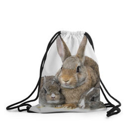 Рюкзак-мешок 3D с принтом Кролики в Кировске, 100% полиэстер | плотность ткани — 200 г/м2, размер — 35 х 45 см; лямки — толстые шнурки, застежка на шнуровке, без карманов и подкладки | animals | bunnies | cute | eared | family | fluffy | kids | mom | rabbits | животные | зайцы | кролики | малыши | мама | милые | пушистые | семья | ушастые