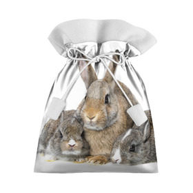 Подарочный 3D мешок с принтом Кролики в Кировске, 100% полиэстер | Размер: 29*39 см | Тематика изображения на принте: animals | bunnies | cute | eared | family | fluffy | kids | mom | rabbits | животные | зайцы | кролики | малыши | мама | милые | пушистые | семья | ушастые