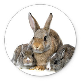 Коврик круглый с принтом Кролики в Кировске, резина и полиэстер | круглая форма, изображение наносится на всю лицевую часть | animals | bunnies | cute | eared | family | fluffy | kids | mom | rabbits | животные | зайцы | кролики | малыши | мама | милые | пушистые | семья | ушастые