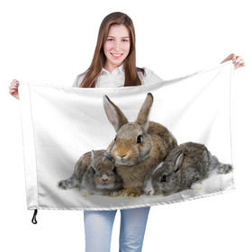 Флаг 3D с принтом Кролики в Кировске, 100% полиэстер | плотность ткани — 95 г/м2, размер — 67 х 109 см. Принт наносится с одной стороны | animals | bunnies | cute | eared | family | fluffy | kids | mom | rabbits | животные | зайцы | кролики | малыши | мама | милые | пушистые | семья | ушастые