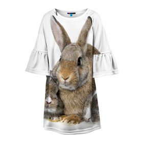 Детское платье 3D с принтом Кролики в Кировске, 100% полиэстер | прямой силуэт, чуть расширенный к низу. Круглая горловина, на рукавах — воланы | animals | bunnies | cute | eared | family | fluffy | kids | mom | rabbits | животные | зайцы | кролики | малыши | мама | милые | пушистые | семья | ушастые