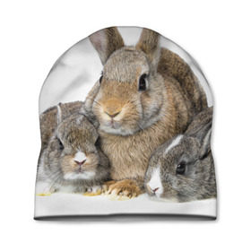 Шапка 3D с принтом Кролики в Кировске, 100% полиэстер | универсальный размер, печать по всей поверхности изделия | animals | bunnies | cute | eared | family | fluffy | kids | mom | rabbits | животные | зайцы | кролики | малыши | мама | милые | пушистые | семья | ушастые