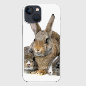 Чехол для iPhone 13 mini с принтом Кролики в Кировске,  |  | animals | bunnies | cute | eared | family | fluffy | kids | mom | rabbits | животные | зайцы | кролики | малыши | мама | милые | пушистые | семья | ушастые