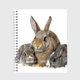 Тетрадь с принтом Кролики в Кировске, 100% бумага | 48 листов, плотность листов — 60 г/м2, плотность картонной обложки — 250 г/м2. Листы скреплены сбоку удобной пружинной спиралью. Уголки страниц и обложки скругленные. Цвет линий — светло-серый
 | animals | bunnies | cute | eared | family | fluffy | kids | mom | rabbits | животные | зайцы | кролики | малыши | мама | милые | пушистые | семья | ушастые