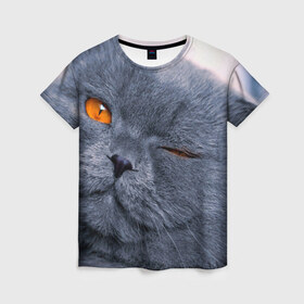 Женская футболка 3D с принтом Кот в Кировске, 100% полиэфир ( синтетическое хлопкоподобное полотно) | прямой крой, круглый вырез горловины, длина до линии бедер | британский | взгляд | глаза | животные | кот