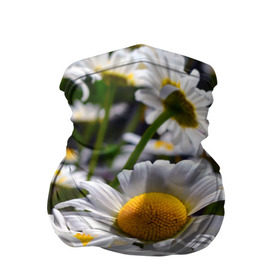 Бандана-труба 3D с принтом Ромашки в Кировске, 100% полиэстер, ткань с особыми свойствами — Activecool | плотность 150‒180 г/м2; хорошо тянется, но сохраняет форму | желтая | лепесток | природа | ромашка | цветок | яркая