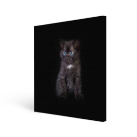 Холст квадратный с принтом Чёрный котёнок в Кировске, 100% ПВХ |  | киска | кот | кошка