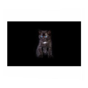 Бумага для упаковки 3D с принтом Чёрный котёнок в Кировске, пластик и полированная сталь | круглая форма, металлическое крепление в виде кольца | Тематика изображения на принте: киска | кот | кошка