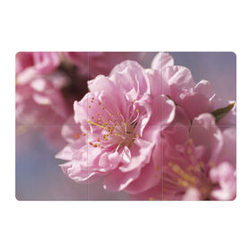 Магнитный плакат 3Х2 с принтом Розовые цветы в Кировске, Полимерный материал с магнитным слоем | 6 деталей размером 9*9 см | Тематика изображения на принте: девушкам | розы | цветочки | цветы