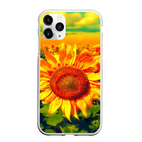 Чехол для iPhone 11 Pro матовый с принтом Подсолнухи в Кировске, Силикон |  | лето | подсолнух | солнце | цветы
