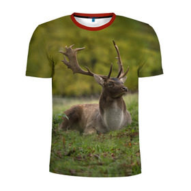 Мужская футболка 3D спортивная с принтом Олень в Кировске, 100% полиэстер с улучшенными характеристиками | приталенный силуэт, круглая горловина, широкие плечи, сужается к линии бедра | животные | лес | охота | природа | туризм