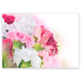 Поздравительная открытка с принтом Белые и розовые цветы в Кировске, 100% бумага | плотность бумаги 280 г/м2, матовая, на обратной стороне линовка и место для марки
 | Тематика изображения на принте: лепестки | прикольные картинки | цветочки | цветы