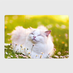 Магнитный плакат 3Х2 с принтом Белая киса в Кировске, Полимерный материал с магнитным слоем | 6 деталей размером 9*9 см | Тематика изображения на принте: cat | киса | котенок | кошка | лето | ромашки | солнце