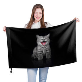 Флаг 3D с принтом Весёлый котик в Кировске, 100% полиэстер | плотность ткани — 95 г/м2, размер — 67 х 109 см. Принт наносится с одной стороны | кот | кошка | прикол