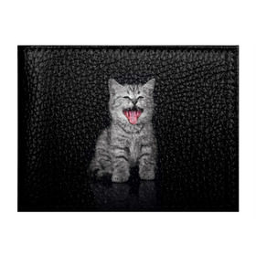 Обложка для студенческого билета с принтом Весёлый котик в Кировске, натуральная кожа | Размер: 11*8 см; Печать на всей внешней стороне | кот | кошка | прикол