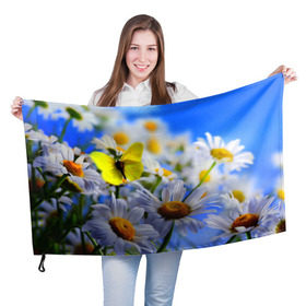 Флаг 3D с принтом Ромашки и бабочка в Кировске, 100% полиэстер | плотность ткани — 95 г/м2, размер — 67 х 109 см. Принт наносится с одной стороны | бабочки | лето | природа | ромашки | цветы
