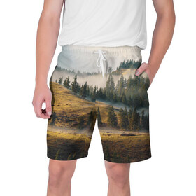 Мужские шорты 3D с принтом Прекрасные горы в Кировске,  полиэстер 100% | прямой крой, два кармана без застежек по бокам. Мягкая трикотажная резинка на поясе, внутри которой широкие завязки. Длина чуть выше колен | пейзаж