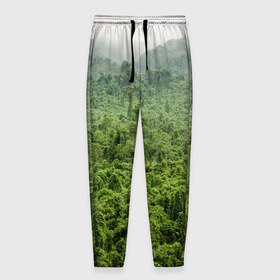 Мужские брюки 3D с принтом Потрясающие тропики в Кировске, 100% полиэстер | манжеты по низу, эластичный пояс регулируется шнурком, по бокам два кармана без застежек, внутренняя часть кармана из мелкой сетки | деревья | джунгли | зелень | красиво | лес | пейзаж | фото