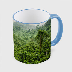 Кружка 3D с принтом Потрясающие тропики в Кировске, керамика | ёмкость 330 мл | деревья | джунгли | зелень | красиво | лес | пейзаж | фото