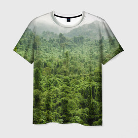Мужская футболка 3D с принтом Потрясающие тропики в Кировске, 100% полиэфир | прямой крой, круглый вырез горловины, длина до линии бедер | деревья | джунгли | зелень | красиво | лес | пейзаж | фото