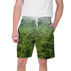 Мужские шорты 3D с принтом Потрясающие тропики в Кировске,  полиэстер 100% | прямой крой, два кармана без застежек по бокам. Мягкая трикотажная резинка на поясе, внутри которой широкие завязки. Длина чуть выше колен | деревья | джунгли | зелень | красиво | лес | пейзаж | фото