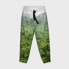 Детские брюки 3D с принтом Потрясающие тропики в Кировске, 100% полиэстер | манжеты по низу, эластичный пояс регулируется шнурком, по бокам два кармана без застежек, внутренняя часть кармана из мелкой сетки | деревья | джунгли | зелень | красиво | лес | пейзаж | фото