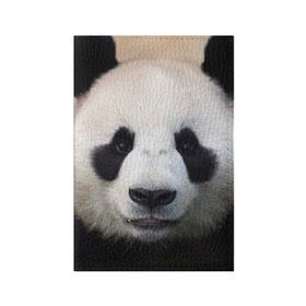 Обложка для паспорта матовая кожа с принтом Милая панда в Кировске, натуральная матовая кожа | размер 19,3 х 13,7 см; прозрачные пластиковые крепления | animal | hunny | panda | животные | классная | милая | милота | панда | фото | хорошая