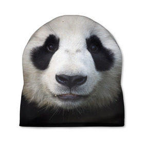Шапка 3D с принтом Милая панда в Кировске, 100% полиэстер | универсальный размер, печать по всей поверхности изделия | animal | hunny | panda | животные | классная | милая | милота | панда | фото | хорошая