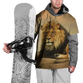 Накидка на куртку 3D с принтом Величиственый лев в Кировске, 100% полиэстер |  | царь зверей