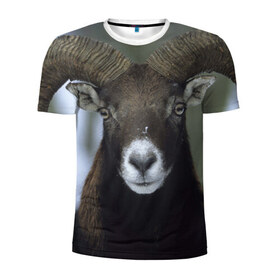 Мужская футболка 3D спортивная с принтом Горный козел в Кировске, 100% полиэстер с улучшенными характеристиками | приталенный силуэт, круглая горловина, широкие плечи, сужается к линии бедра | горный козел | животные